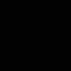 Meet your Posher, Abril